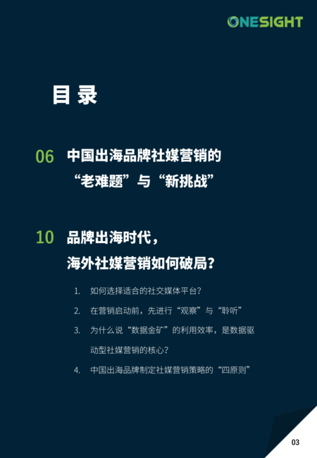 OneSight：品牌全面出海时代：破解社交媒体营销密码白皮书